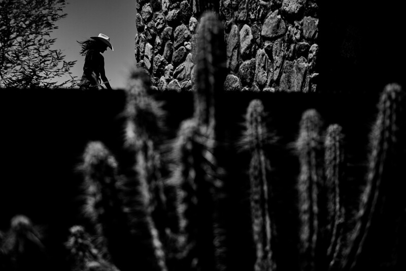 Figure with umbrella standing on rocky terrain with tall cacti in foreground, black and white photography.