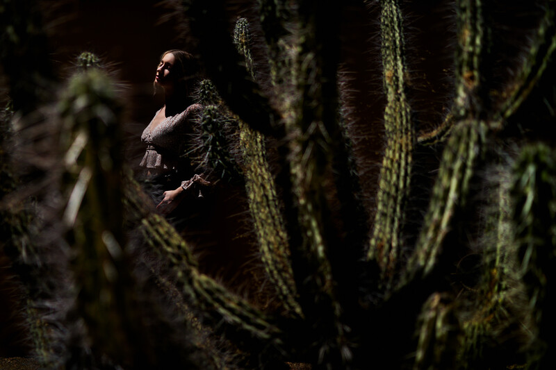 Person partially obscured by tall columnar cacti, backlit with dramatic lighting creating silhouettes.