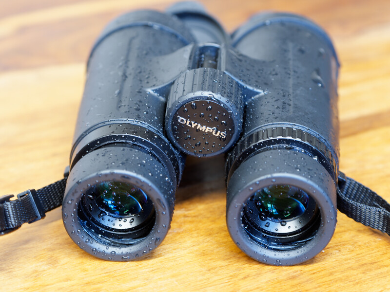 Olympus binoculars with water droplets on the objective lenses, resting on a wooden surface.