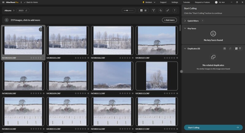Screenshot of photo management software displaying a contact sheet of winter landscape images with a solitary tree.