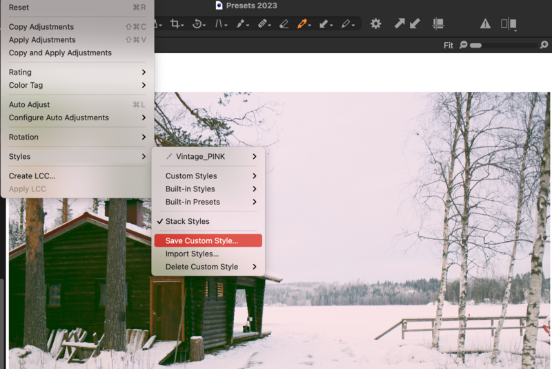 Screenshot of photo editing software with Styles menu open, showing vintage pink preset applied to winter landscape image.