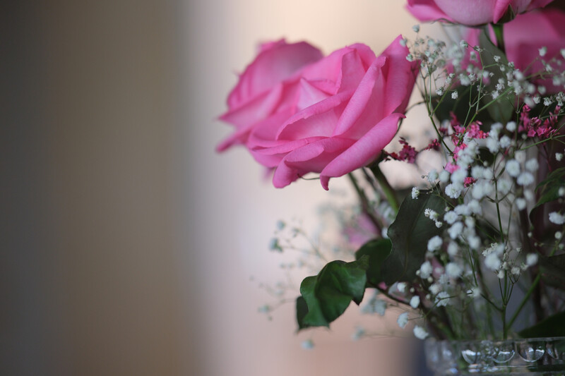 Viltrox 75mm, ISO 400, 1/100 s, f/1.2