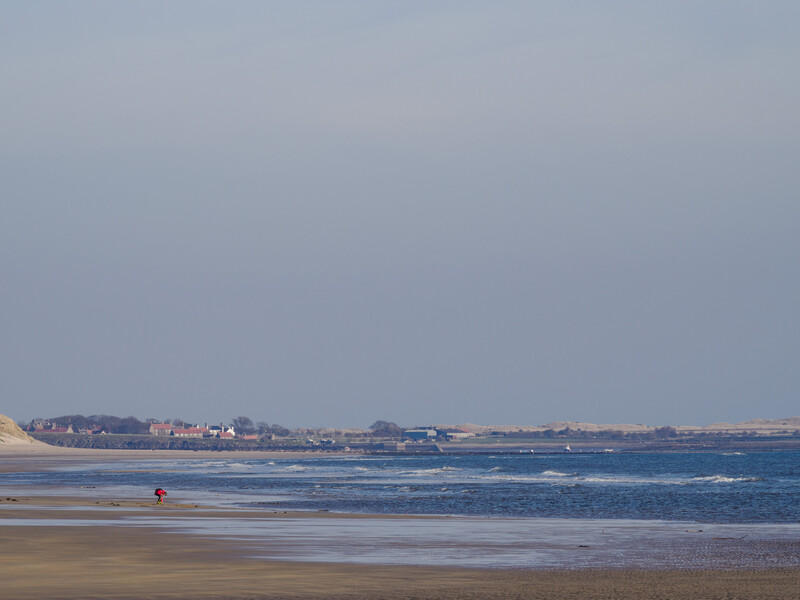 Lone swimmer in turquoise water at a wide beach under overcast sky.
