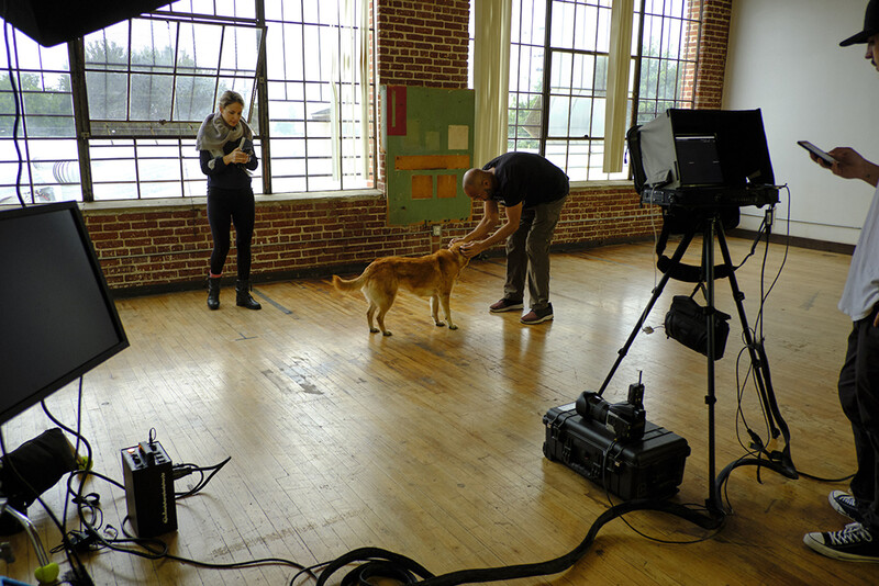 Film crew setting up studio lighting and camera equipment while a dog stands on wooden flooring.