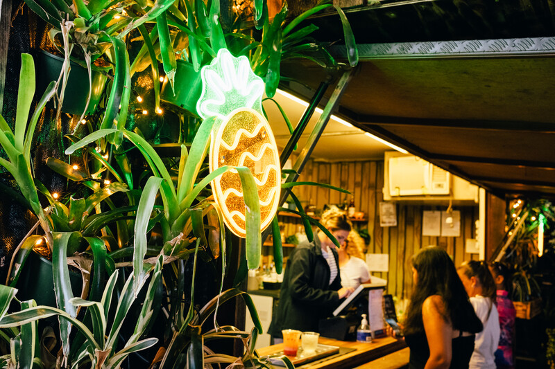 Illuminated decorative corn light fixture hanging among green foliage at an indoor venue.
