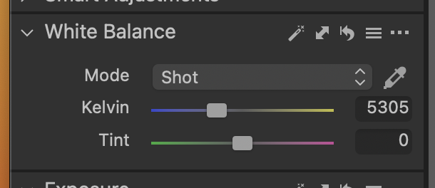 Screenshot of White Balance adjustment panel showing Kelvin temperature at 5305K and Tint slider at 0.
