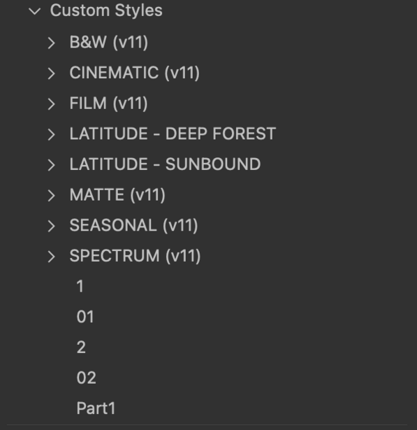 Screenshot of Custom Styles menu in photo editing software showing various preset filter options.