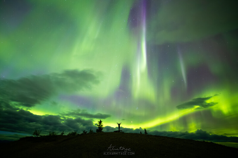 Aurora borealis with bright green and purple pillars stretching across the night sky above a dark silhouetted landscape.