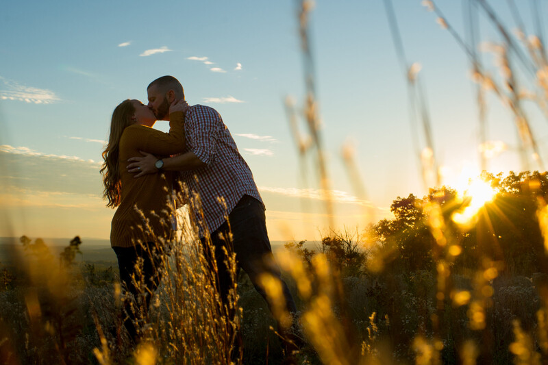 Couple kissing in a sunlit field with golden hour lighting and wildflowers in soft focus foreground.