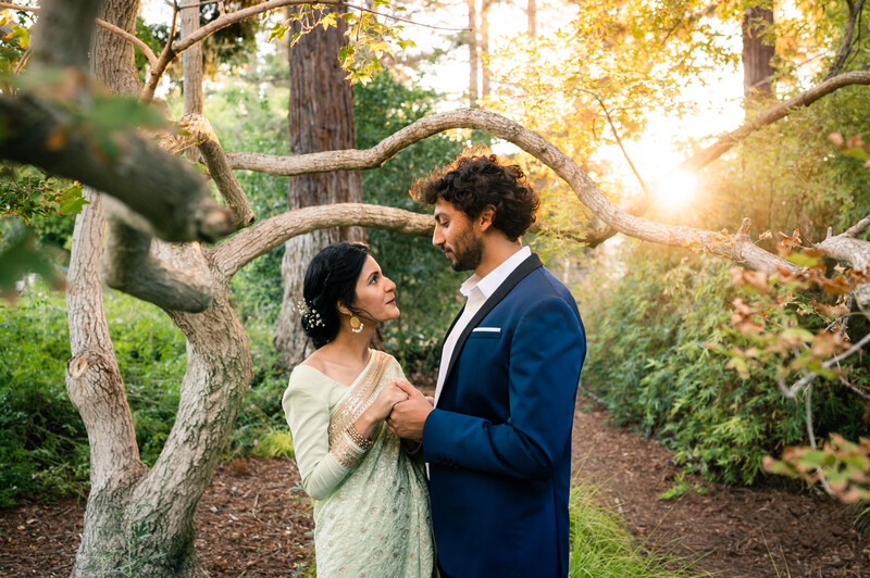 Couple in formal attire standing beneath a curved tree branch during golden hour.