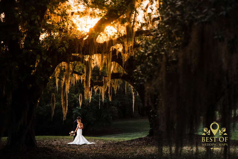 Bride in white dress standing alone on tree-lined path framed by Spanish moss-draped oak trees at golden hour.