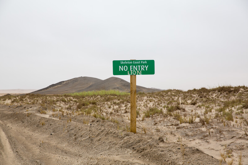 Green "No Entry" sign on wooden post in arid desert landscape with sparse vegetation.