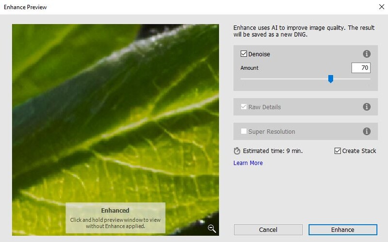 Screenshot of AI image enhancement preview dialog showing denoise settings applied to macro photograph of leaf veins.