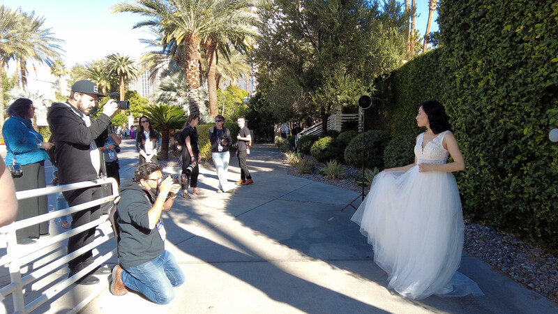 Bride in white tulle dress poses for photographer kneeling in desert garden setting with palm trees.