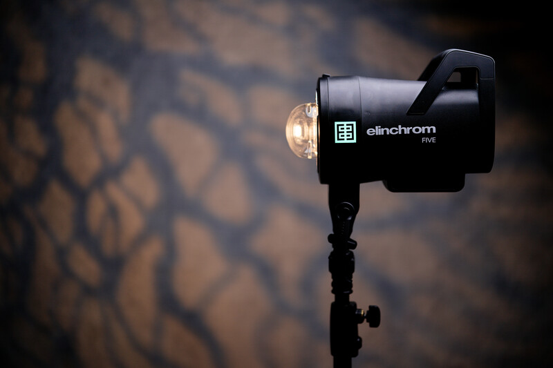 Elinchrom RX monolight with dome diffuser mounted on stand against patterned backdrop.