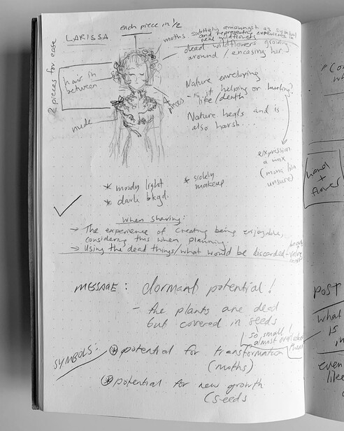 Notes by a photographer for a concept for a photograph