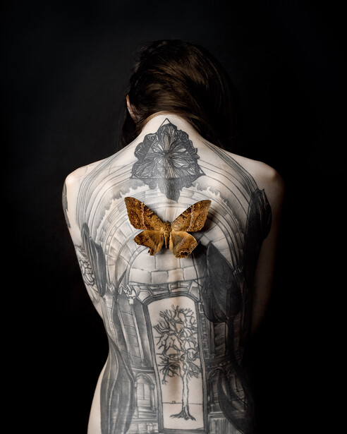 Back view of tattooed woman with moth on her back