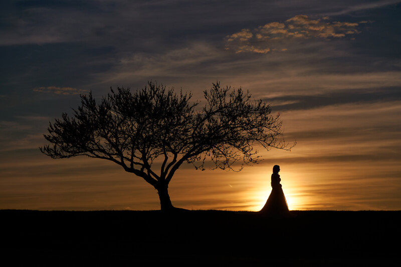 Silhouetted figure standing beside a windswept tree against a golden sunset sky.