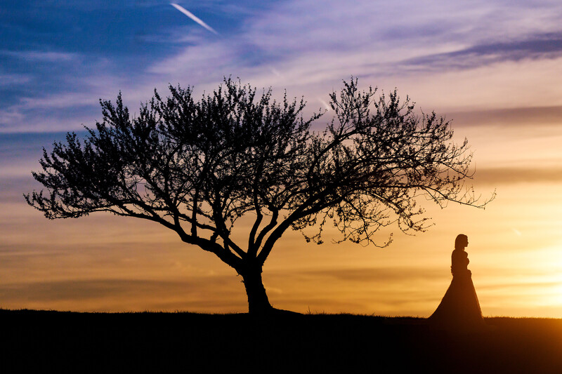 Silhouetted figure in a flowing dress stands beside a windswept tree against a golden sunset sky.