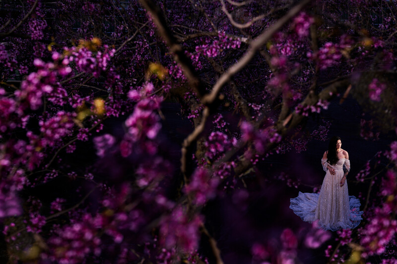 Woman in white gown standing among blooming purple flowers with dark branches overhead.