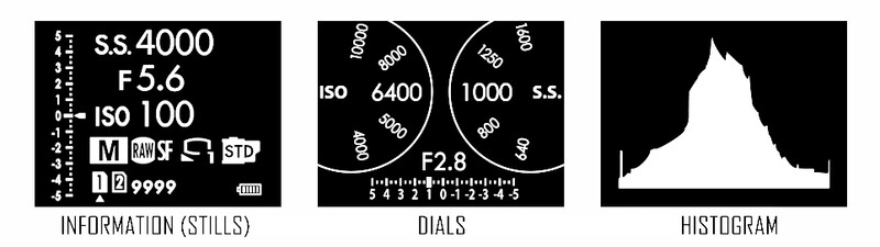 Screenshot of camera exposure settings and metering tools showing shutter speed, aperture, ISO, and histogram display.