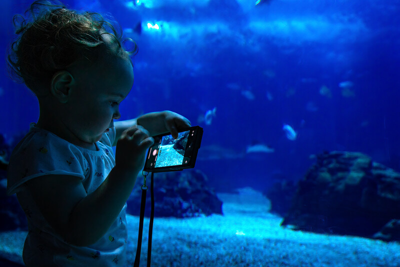 Child holding a smartphone to photograph an aquarium display with blue lighting and fish in the background.