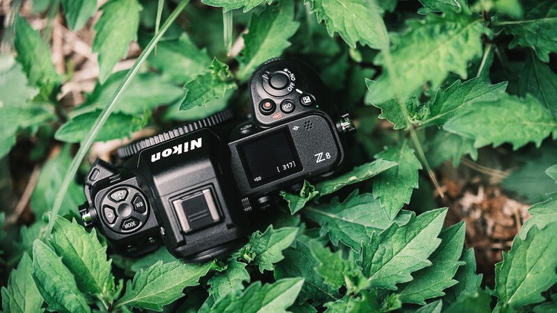 Nikon Z 8 top view