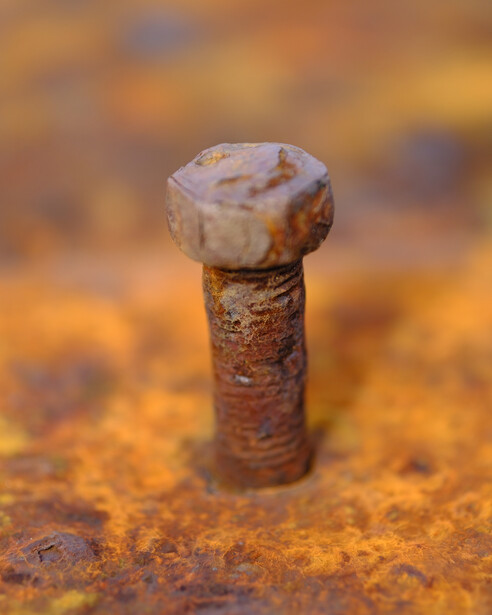 Rusted bolt with corroded head standing upright on oxidized metal surface.