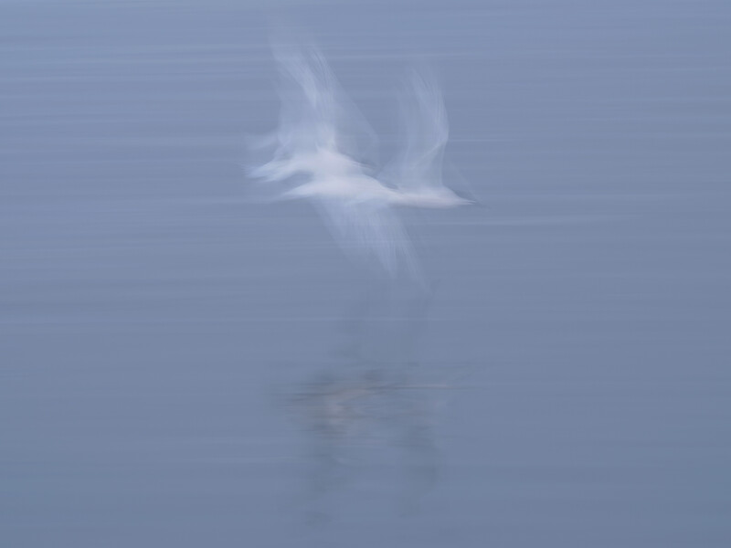 Ethereal white mist or smoke rising vertically against a blue-gray sky with a blurred dark form beneath.
