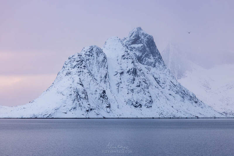 Snow-covered mountain peak rising from a calm, dark sea under twilight sky.