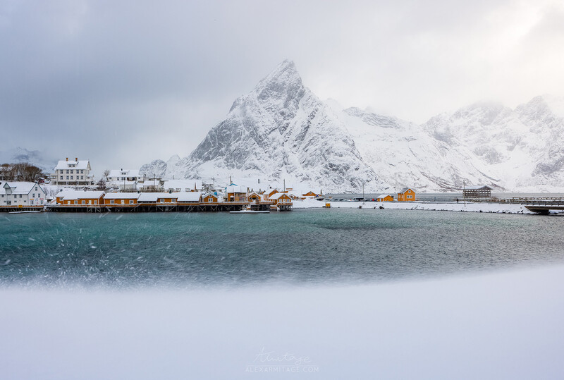 Snow-covered mountain peak rising behind a harbor with fishing vessels and yellow buildings along the waterfront.
