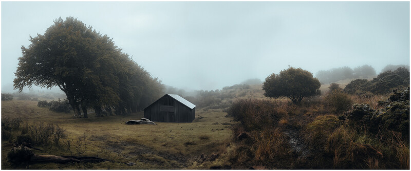 Isolated black shed beneath a sprawling tree in a misty, rolling meadow landscape.