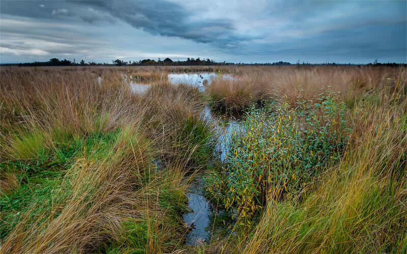 Narrow stream winding through vast wetland landscape with golden grasses under dramatic cloudy sky.