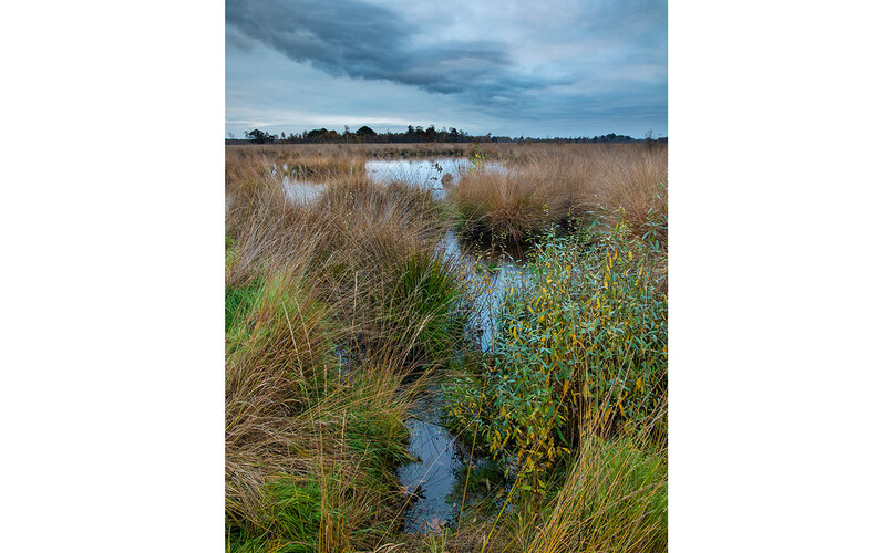 Marshland landscape with winding stream, golden grasses, and stormy sky overhead.