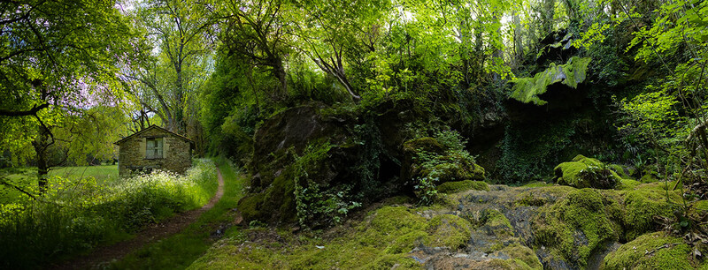 Moss-covered stones and ancient trees in a lush woodland ravine with a stone cottage visible in the distance.