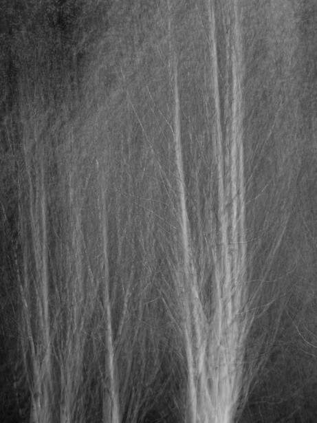 Abstract black and white image of vertical light streaks flowing upward against a dark textured background.