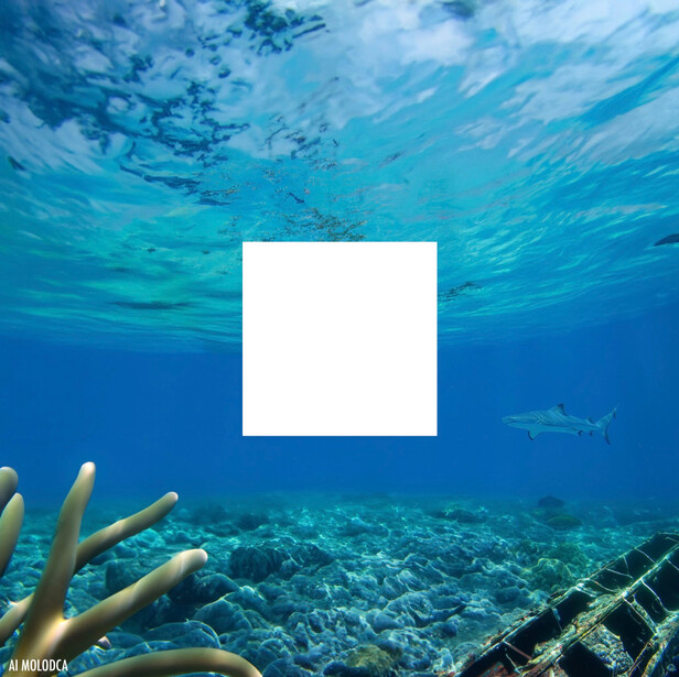 AI-generated content showing the ocean bed and a shark, expanding upon a famous album cover