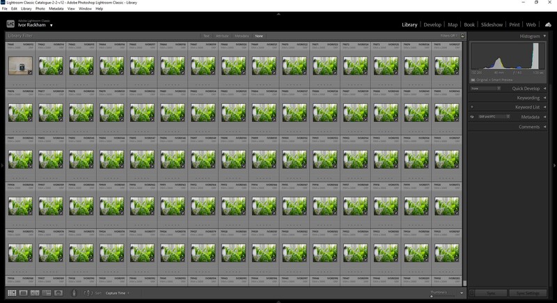 Screenshot of Adobe Lightroom library grid view showing multiple similar nature photographs arranged in rows.