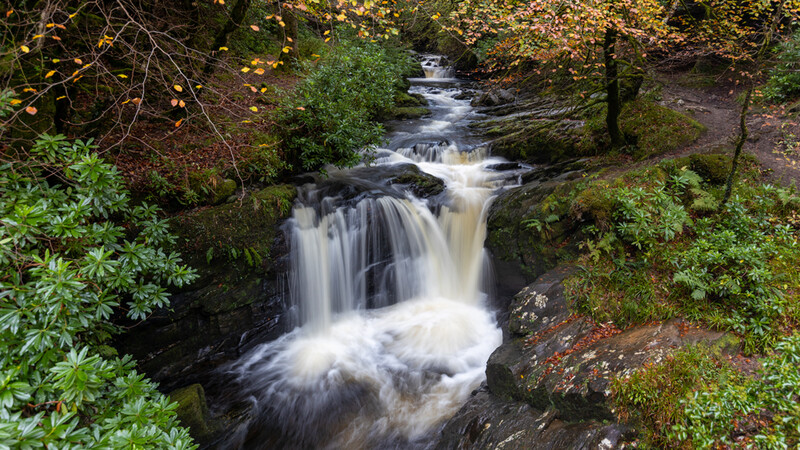 Multi-tiered waterfall cascading through a forested stream surrounded by moss-covered rocks and lush green vegetation.