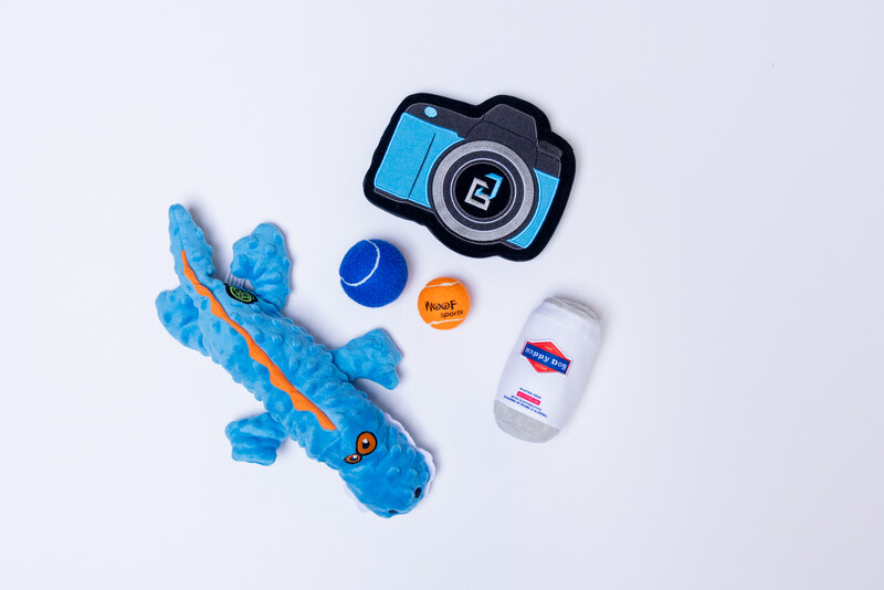 Flat lay of toys and gadgets on white background including blue airplane, camera, and bottles.
