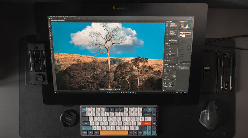 Screenshot of Adobe Lightroom displaying landscape photograph of solitary tree with editing panels visible.