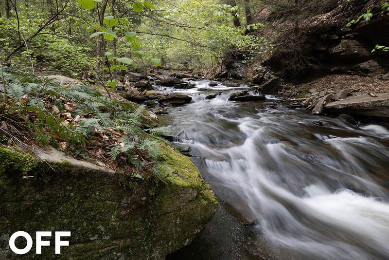 Fast-moving stream with silky water flow cascading over rocks in a moss-covered forest ravine.
