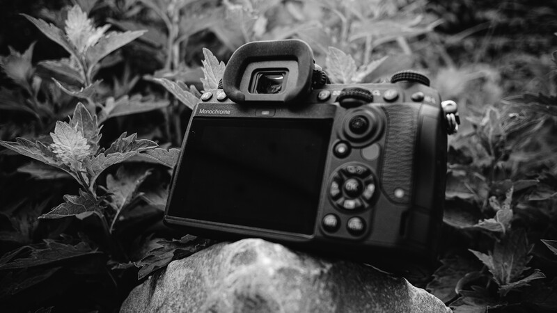 The viewfinder is large and bright for an APS-C camera