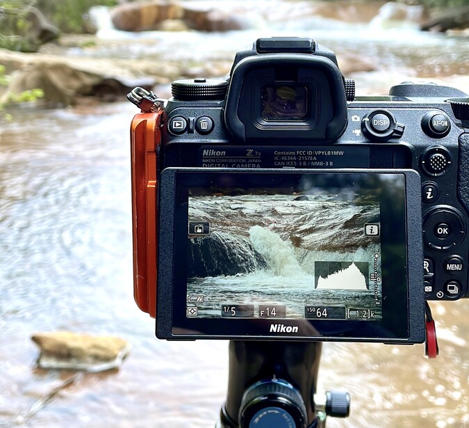 Histogram on the back of a Nikon camera
