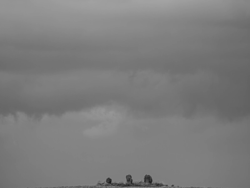 Silhouetted figures standing in a vast, flat landscape beneath an overcast sky.