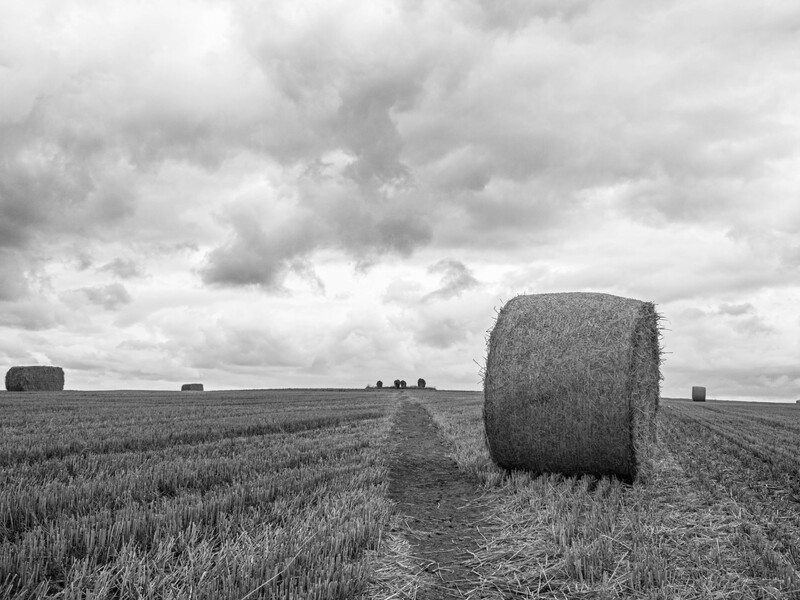 Round hay bale in harvested field under dramatic cloudy sky with distant bales visible.