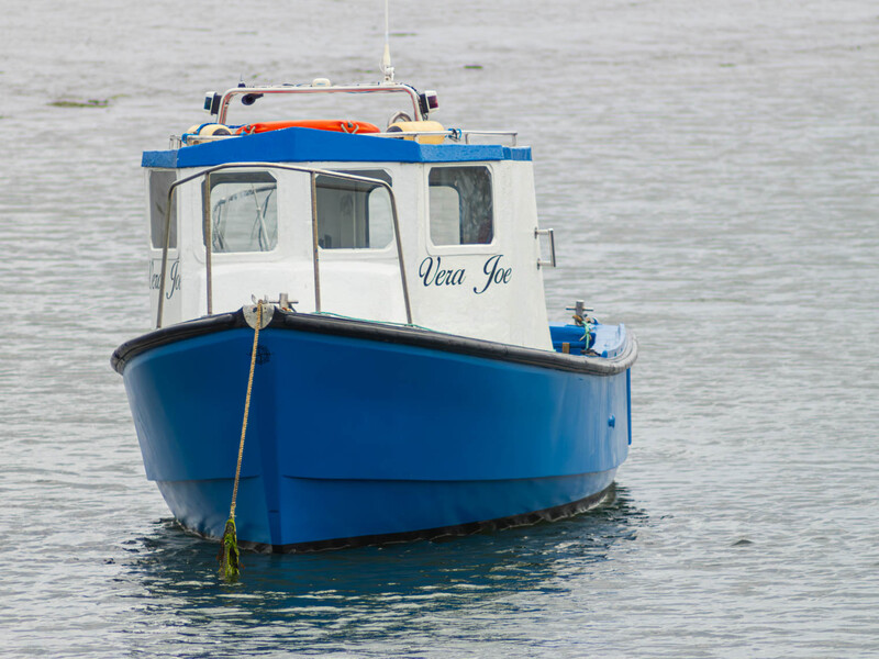 Blue and white fishing boat named Viva Joe moored in calm gray water.