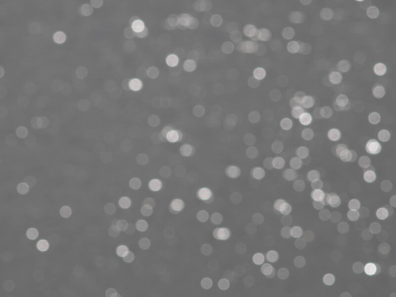 Soft-focus bokeh lights scattered across a neutral gray background with varying blur intensities.