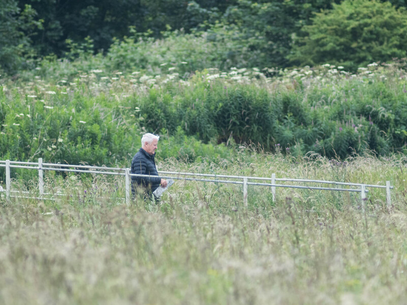 Person jogging on a rural path bordered by a white wooden fence, surrounded by overgrown grass and vegetation.