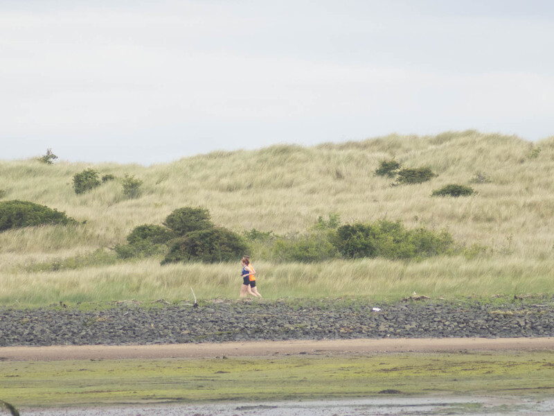 Runner jogging along a rocky beach strip beneath rolling grass-covered hills.